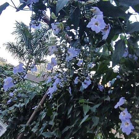 Recanto Duas Rosas Venda Nova do Imigrante Exterior foto